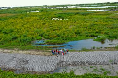 Project partners from NOAA and Louisiana Coastal Protection and Restoration Authority stand in the restored marsh (Photo: Nick Gremillion/CPRA)